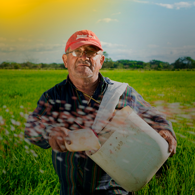 Aposentadoria por idade rural: Como comprovar anos de atividade?